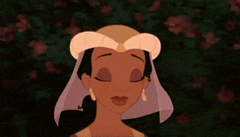 你说的都对的gif-princess and the frog shrug GIF