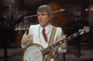 你说的都对的gif-steve martin shrug GIF