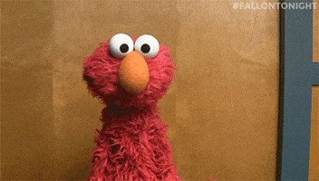 你说的都对的gif-Sesame Street Idk GIF