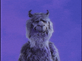 你说的都对的gif-idk shrug GIF by Fall Out Boy