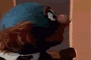 震惊的gif-shocked sesame street GIF
