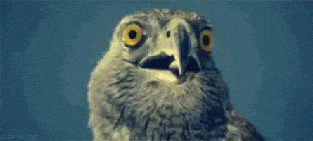 震惊的gif-shocked eyes GIF