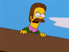 震惊的gif-shocked ned flanders GIF