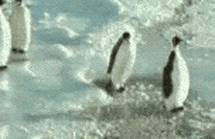 震惊的gif-shocked april fools GIF