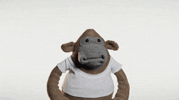 震惊的gif-shocked oh my god GIF by PG Tips