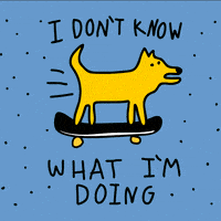 每日GIF(2020-04-22)的gif-I Have No Idea What Im Doing GIF by LookHUMAN