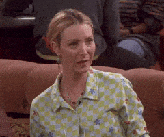 每日GIF(2020-04-22)的gif-Season 5 Omg GIF by Friends