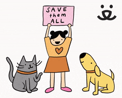 每日GIF(2020-04-22)的gif-Cat Adopt GIF by Best Friends Animal Society