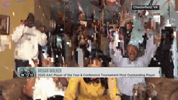 每日GIF(2020-04-22)的gif-Celebrate New York Liberty GIF by WNBA