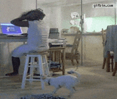 厌恶的gif-hair pulls GIF