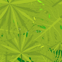 每日GIF(2020-04-23)的gif-Earth Trees GIF by Tyler Resty