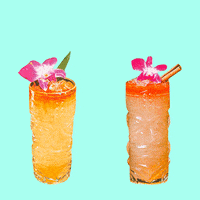 每日GIF(2020-04-25)的gif-good vibes friday GIF by Nora Simon