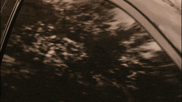 每日GIF(2020-04-25)