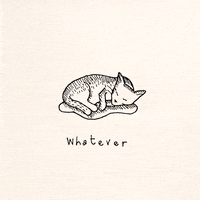 每日GIF(2020-04-25)的gif-Cat Whatever GIF by hoppip