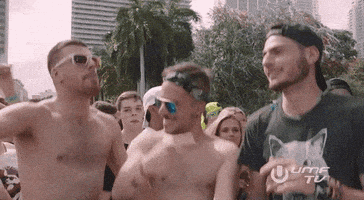 好玩的gif-sam feldt fun GIF by Ultra Music Festival