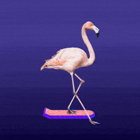 好玩的gif-Animation Flying GIF by Guy Trefler