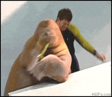 好玩的gif-fun dancing GIF