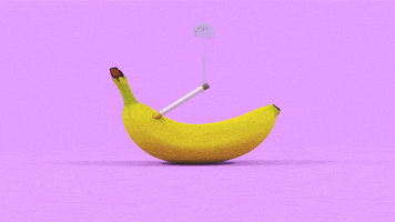 好玩的gif-fun smoking GIF by X&XYZ