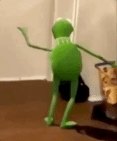 爱跳舞的gif-Meme Dancing GIF