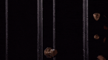 每日GIF(2020-04-26)的gif-Renee Zellweger Hello GIF by Bridget Jones