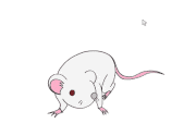 ARAKI AKIRA的gif的gif-マウス