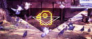 HattoriGraphics的gif的gif-謎の鳩wave