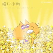 イトウケイジ的gif的gif-猫に小判