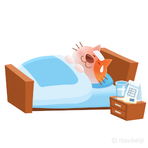 イトウケイジ的gif的gif-ネコ、ネコむ（8/8は世界猫の日）