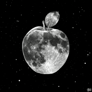 Umair Anwar的gif的gif-The New Moon