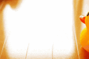 静ラーガール / ジフってあそぼ的gif的gif-【ジフってあそぼ】動く