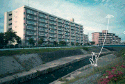 へいはち的gif的gif-白昼