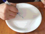 Naoko Maeda的gif的gif-皿に絵を描いた