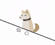 むぬおね的gif的gif-SNSが下手すぎる犬