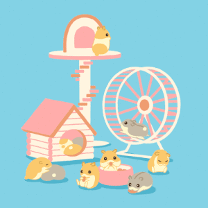 成島 真衣的gif的gif-ハム小屋