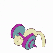 Mekamee的gif的gif-筋トレネコ