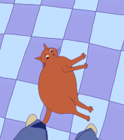 Mekamee的gif的gif-オレンジ色猫が太った