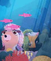 AKIRA GOTO/ 五藤　彰的gif的gif-Aquarium