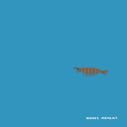 wakai manami的gif的gif- 待ち合わせ場所に急ぐエビ