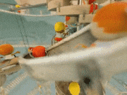 gasta的gif的gif-Playground