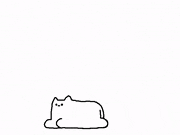 darandy的gif的gif-ねこ