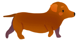 Yoojin Seol的gif的gif-Hotdog dog