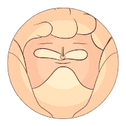 oritoor的gif的gif-Yesss