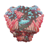 oritoor的gif的gif-Biosphere