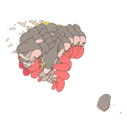 oritoor的gif的gif-wayne coynes