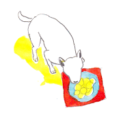 Natsumi Kachi的gif的gif-dog