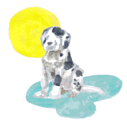 Natsumi Kachi的gif的gif-dog