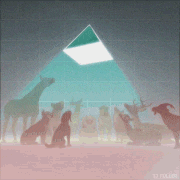 TJ Fuller的gif的gif-P¥R∆MI∂