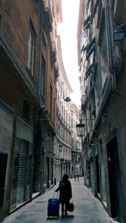 MuNaFo-mtw的gif的gif-VGG-96