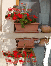 MuNaFo-mtw的gif的gif-FWL-3