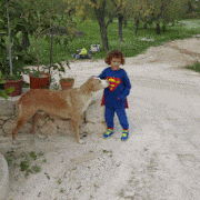 MuNaFo-mtw的gif的gif-CANE